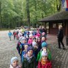 Pszczyna